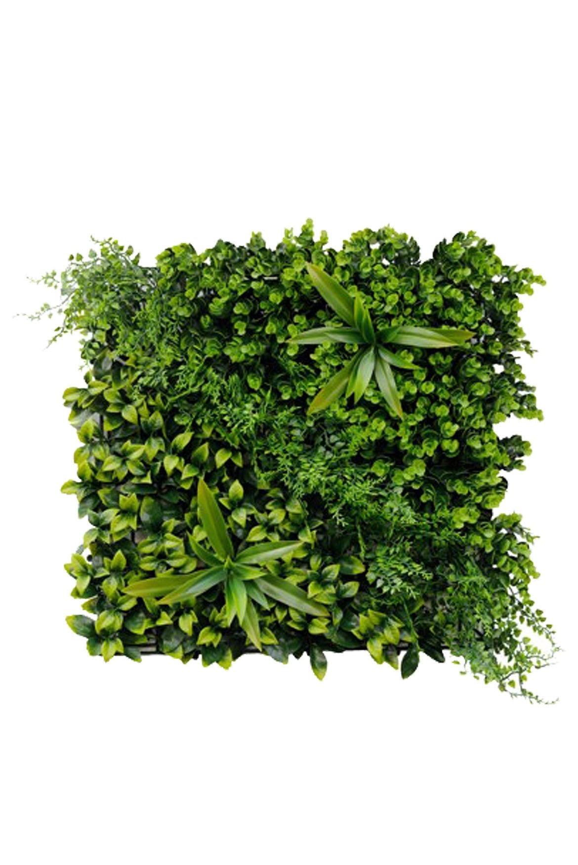SUMMER HEATH Artificial Living Wall (per sq mtr)