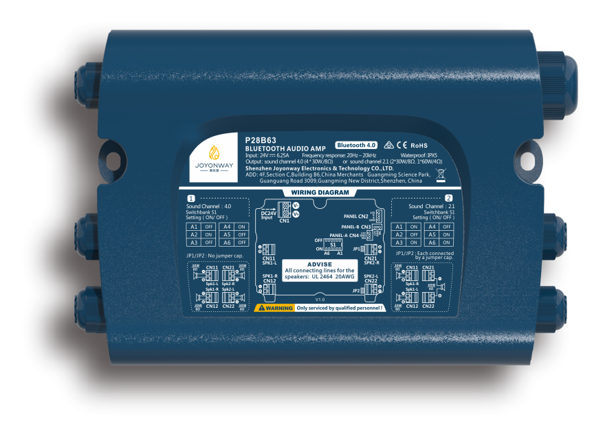 P30 Audio Bluetooth Receiver And Amp